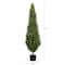 5ft. Potted UV Resistant Rosemary Cone Topiary Tree